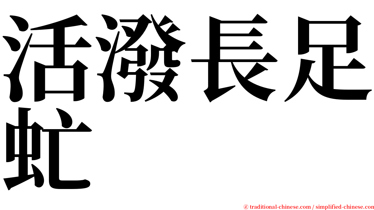 活潑長足虻 serif font