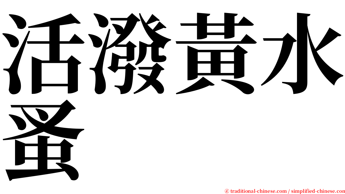 活潑黃水蚤 serif font