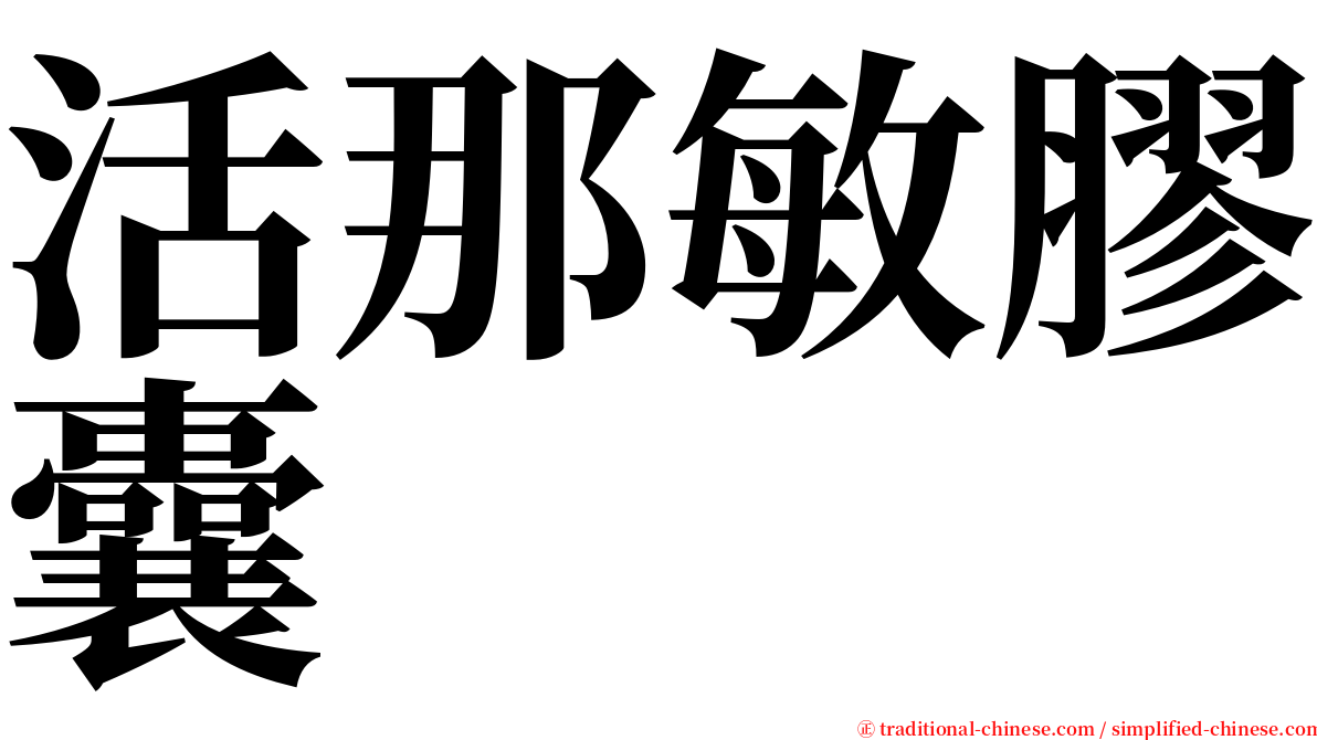 活那敏膠囊 serif font