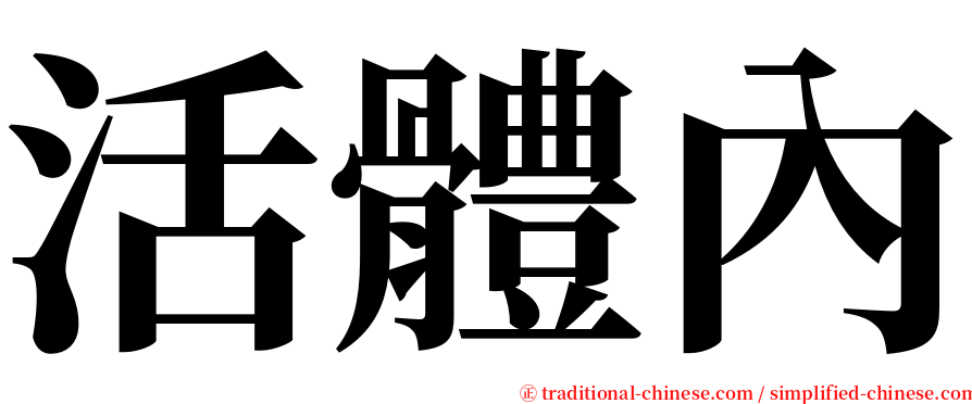 活體內 serif font