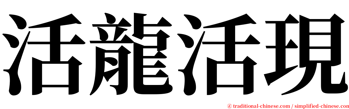 活龍活現 serif font