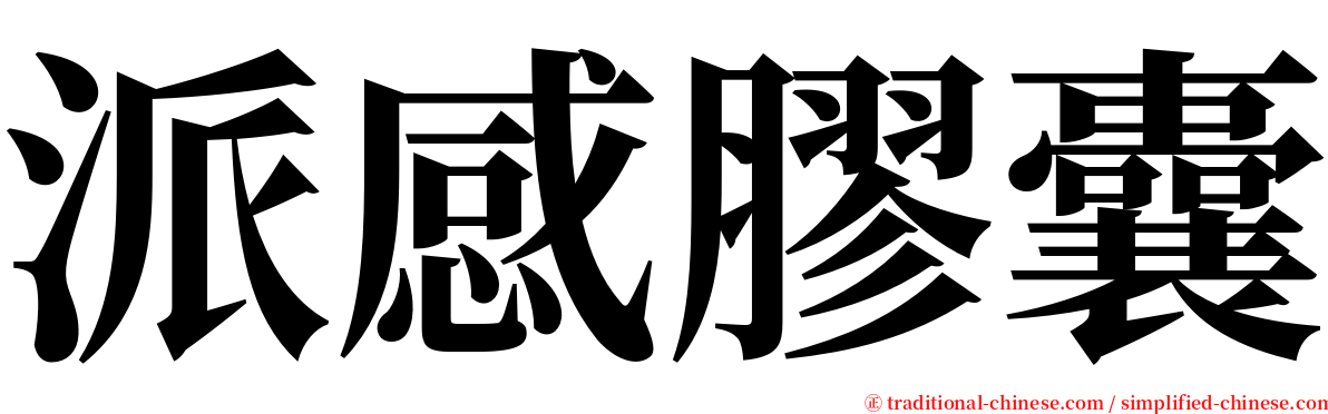 派感膠囊 serif font