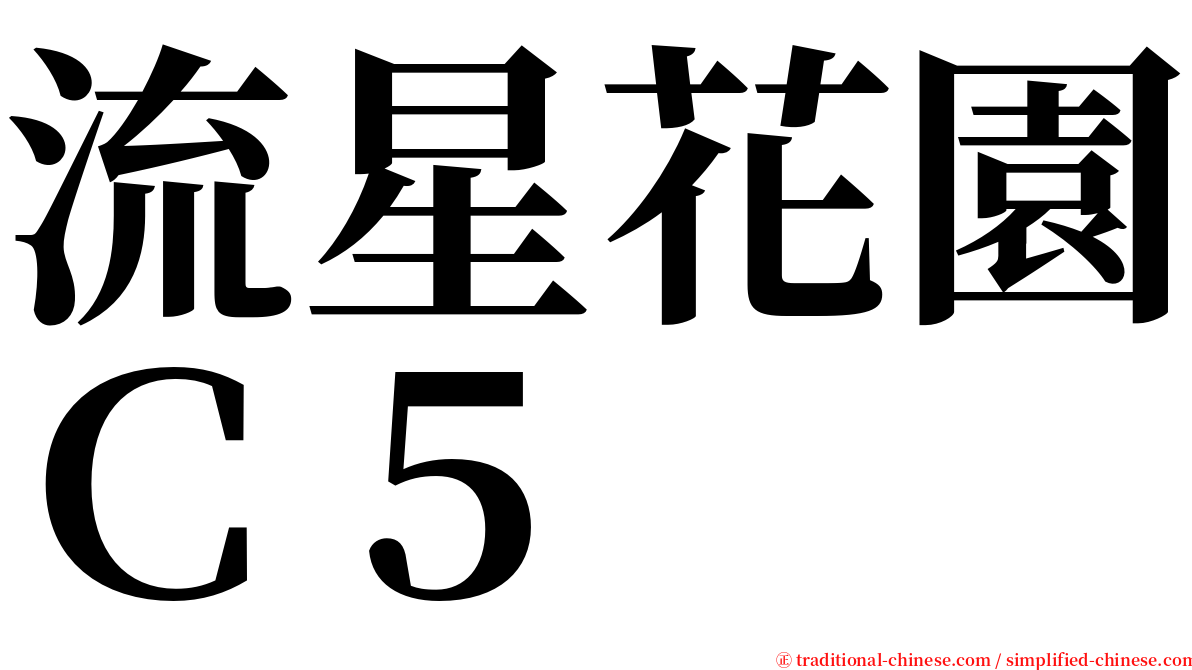 流星花園Ｃ５ serif font