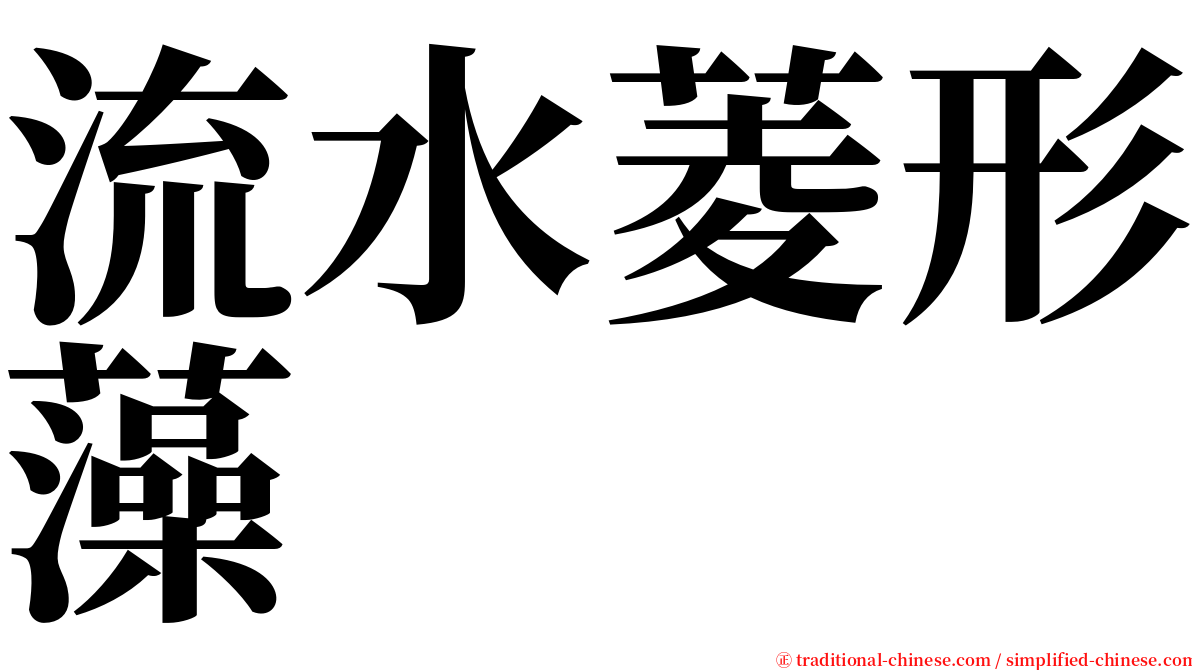 流水菱形藻 serif font