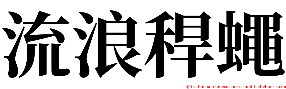 流浪稈蠅 serif font