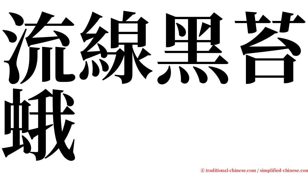 流線黑苔蛾 serif font