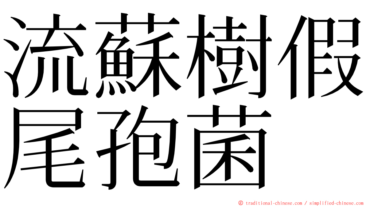 流蘇樹假尾孢菌 ming font