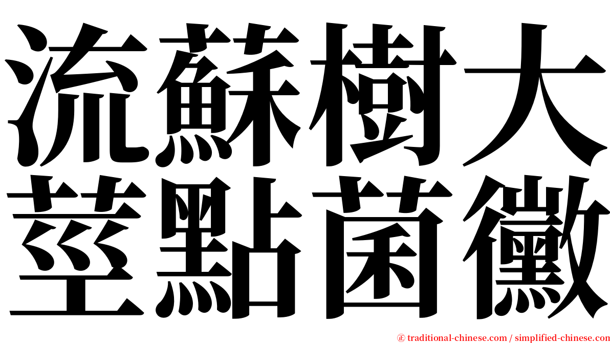 流蘇樹大莖點菌黴 serif font