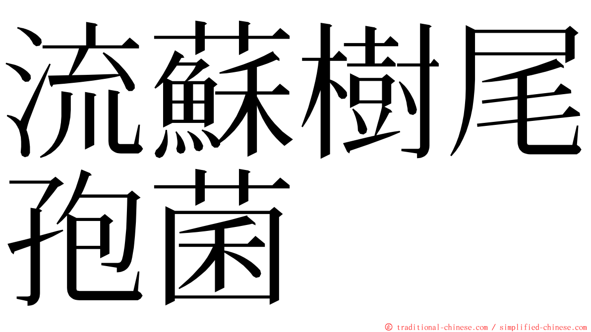 流蘇樹尾孢菌 ming font