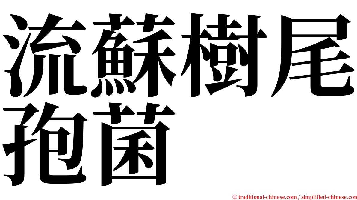 流蘇樹尾孢菌 serif font