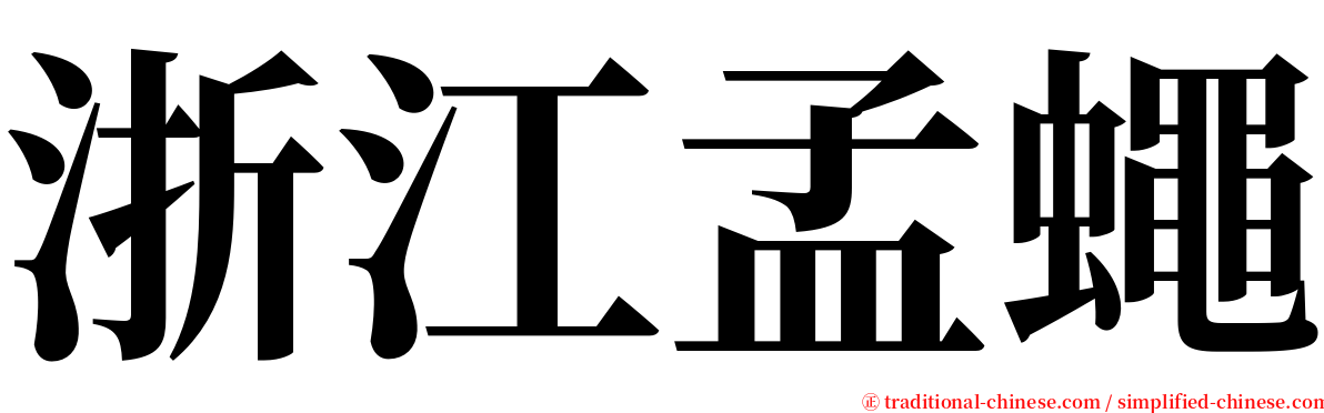 浙江孟蠅 serif font