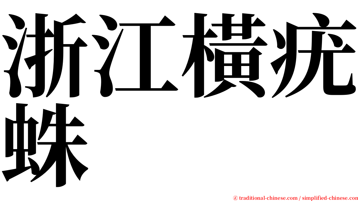 浙江橫疣蛛 serif font