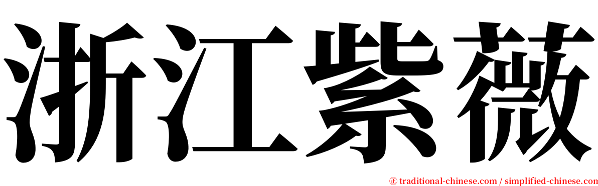 浙江紫薇 serif font