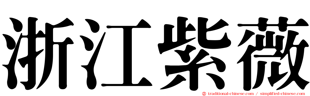 浙江紫薇