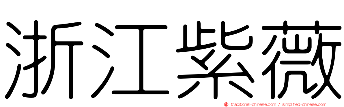 浙江紫薇