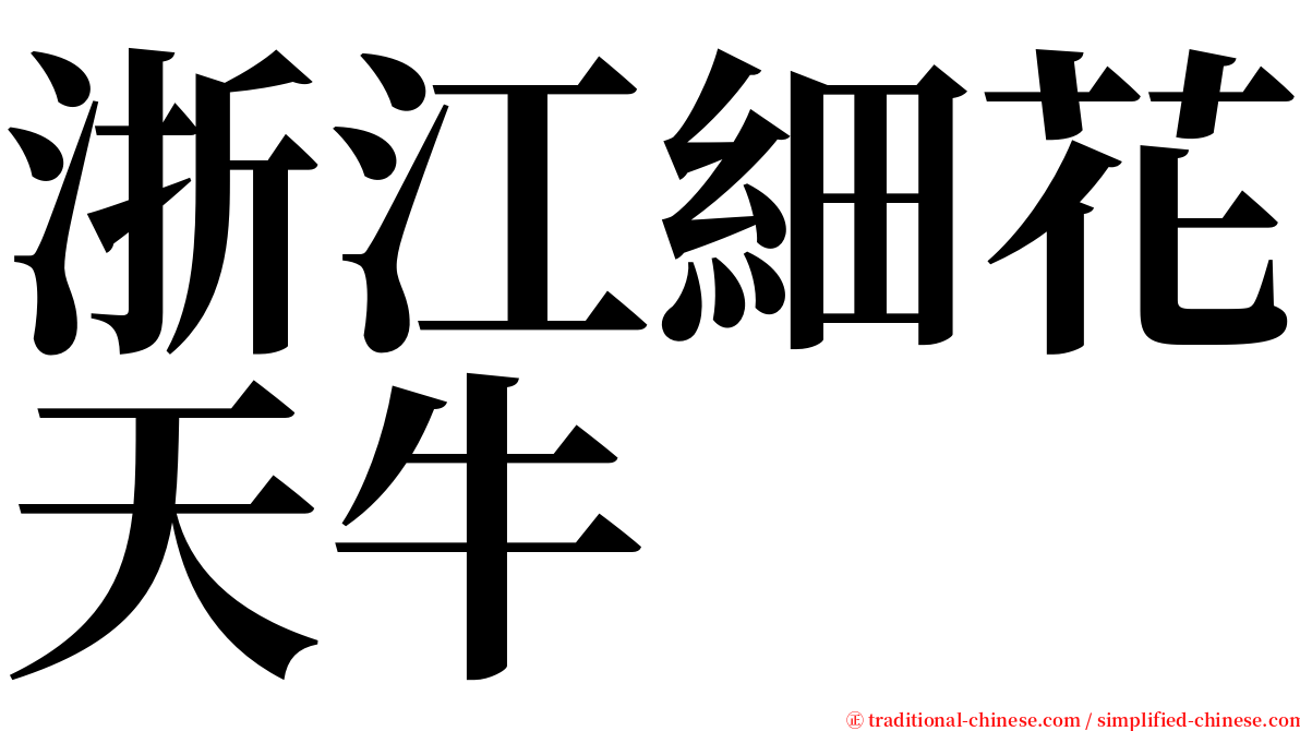 浙江細花天牛 serif font