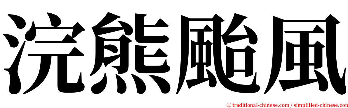 浣熊颱風 serif font