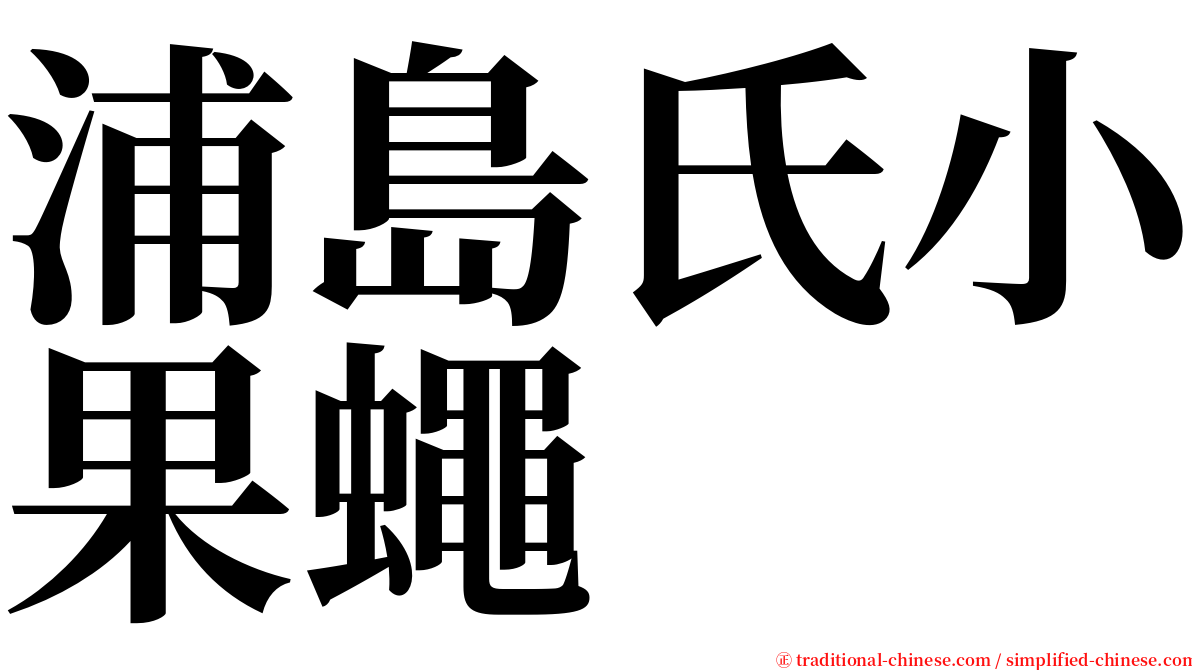 浦島氏小果蠅 serif font