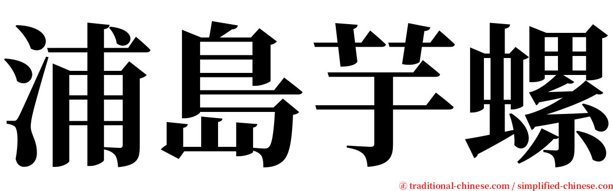 浦島芋螺 serif font