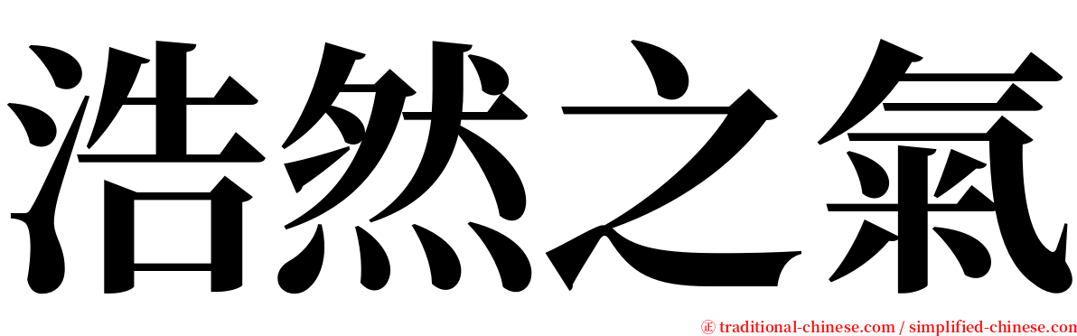 浩然之氣 serif font