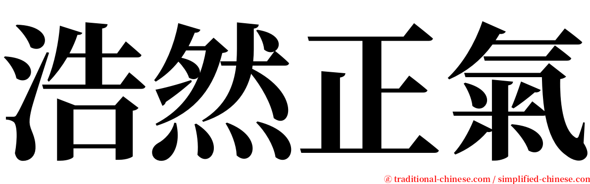 浩然正氣 serif font