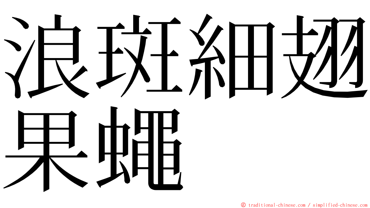 浪斑細翅果蠅 ming font