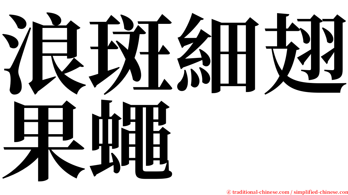 浪斑細翅果蠅 serif font