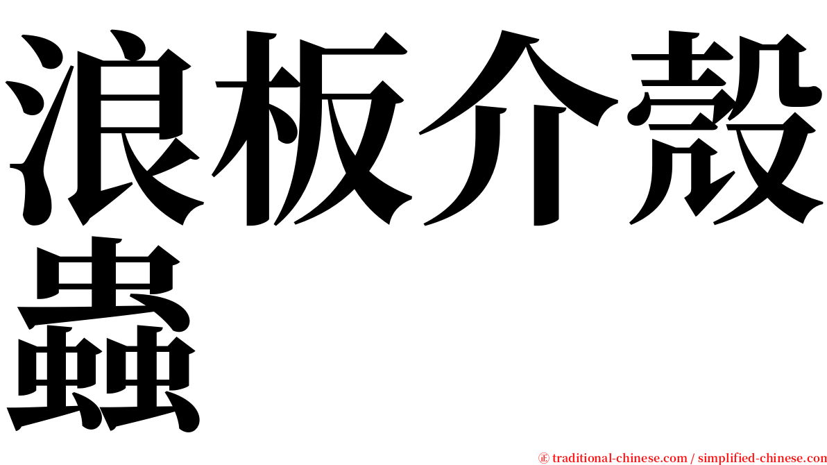 浪板介殼蟲 serif font