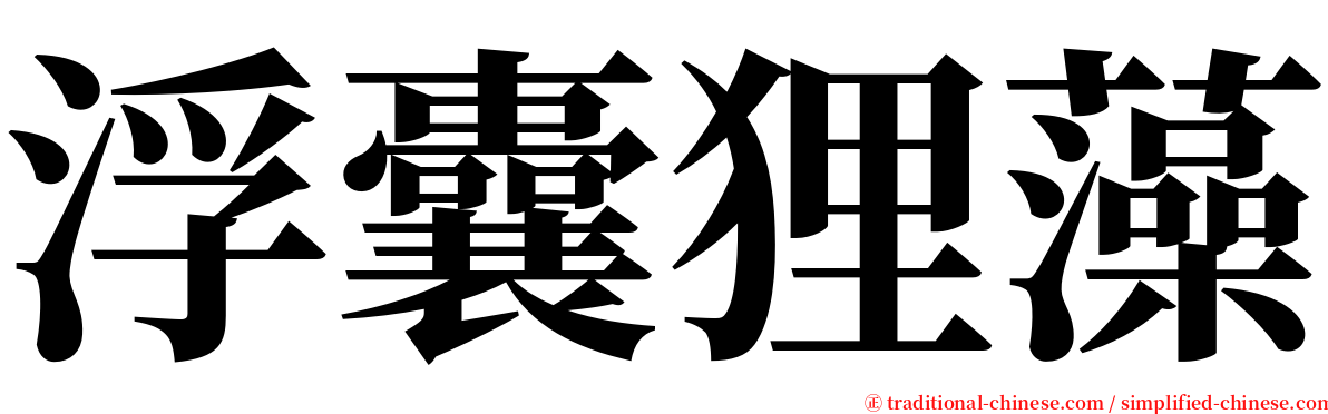 浮囊狸藻 serif font