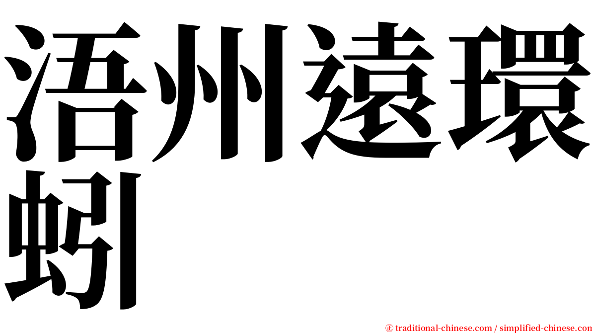浯州遠環蚓 serif font
