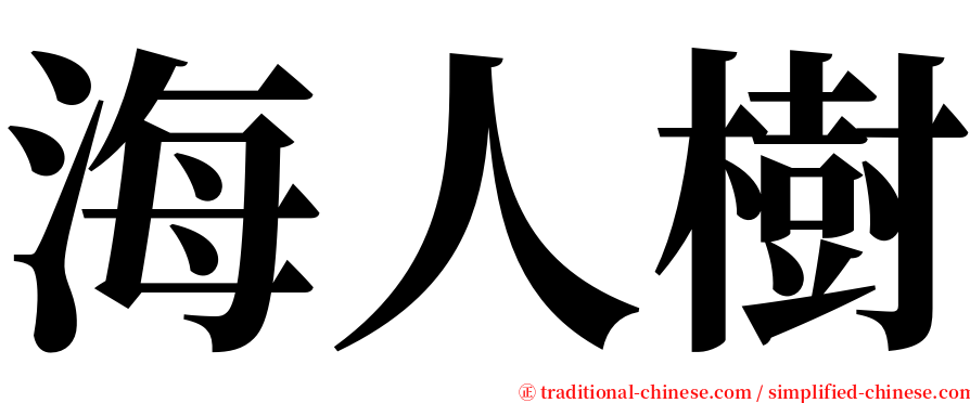 海人樹 serif font