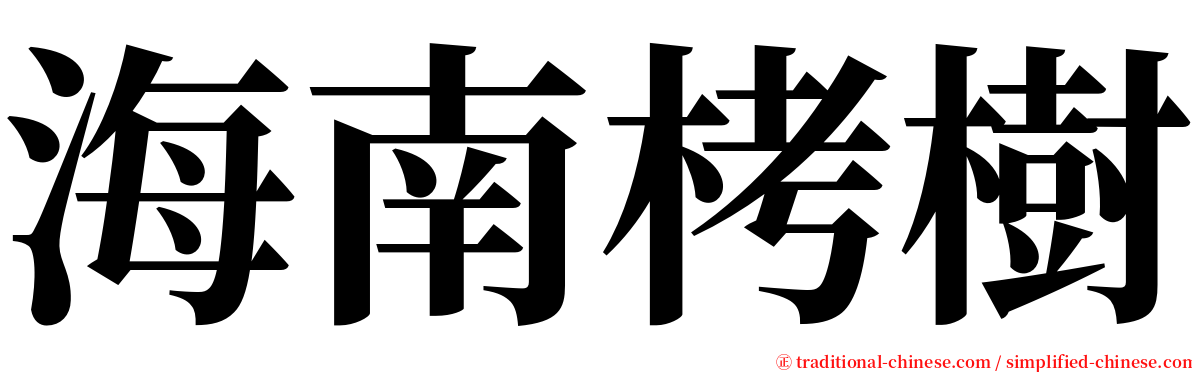 海南栲樹 serif font