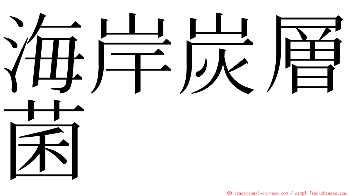 海岸炭層菌 ming font