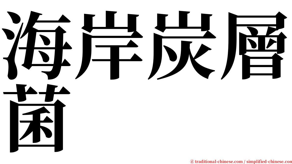 海岸炭層菌 serif font