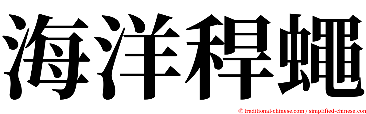 海洋稈蠅 serif font