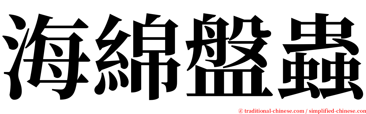 海綿盤蟲 serif font