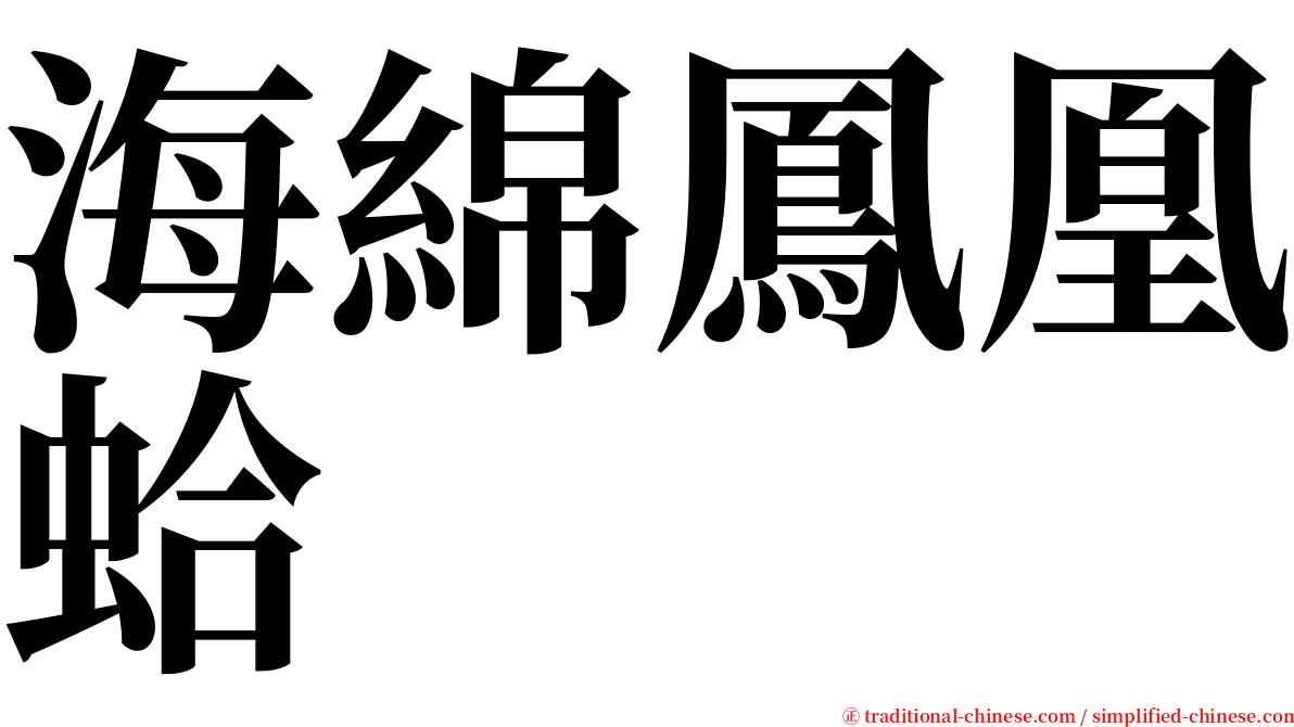 海綿鳳凰蛤 serif font