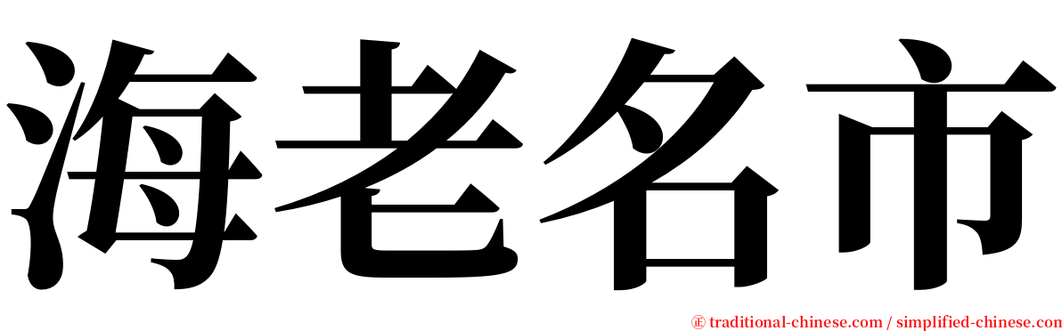 海老名市 serif font