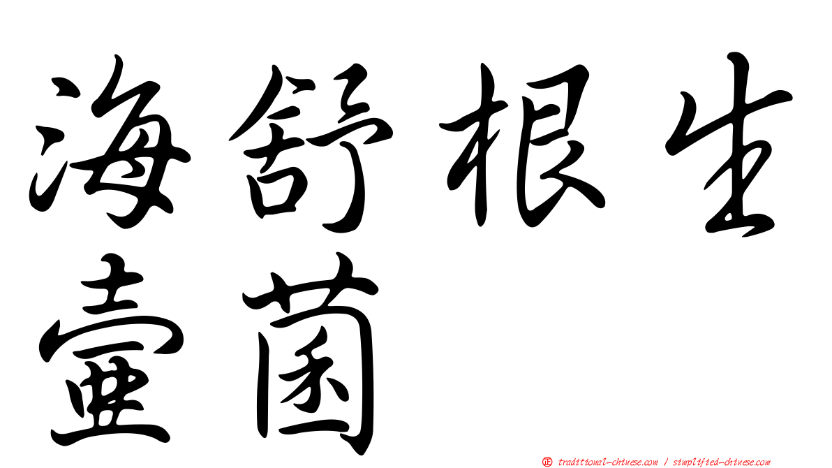 海舒根生壺菌