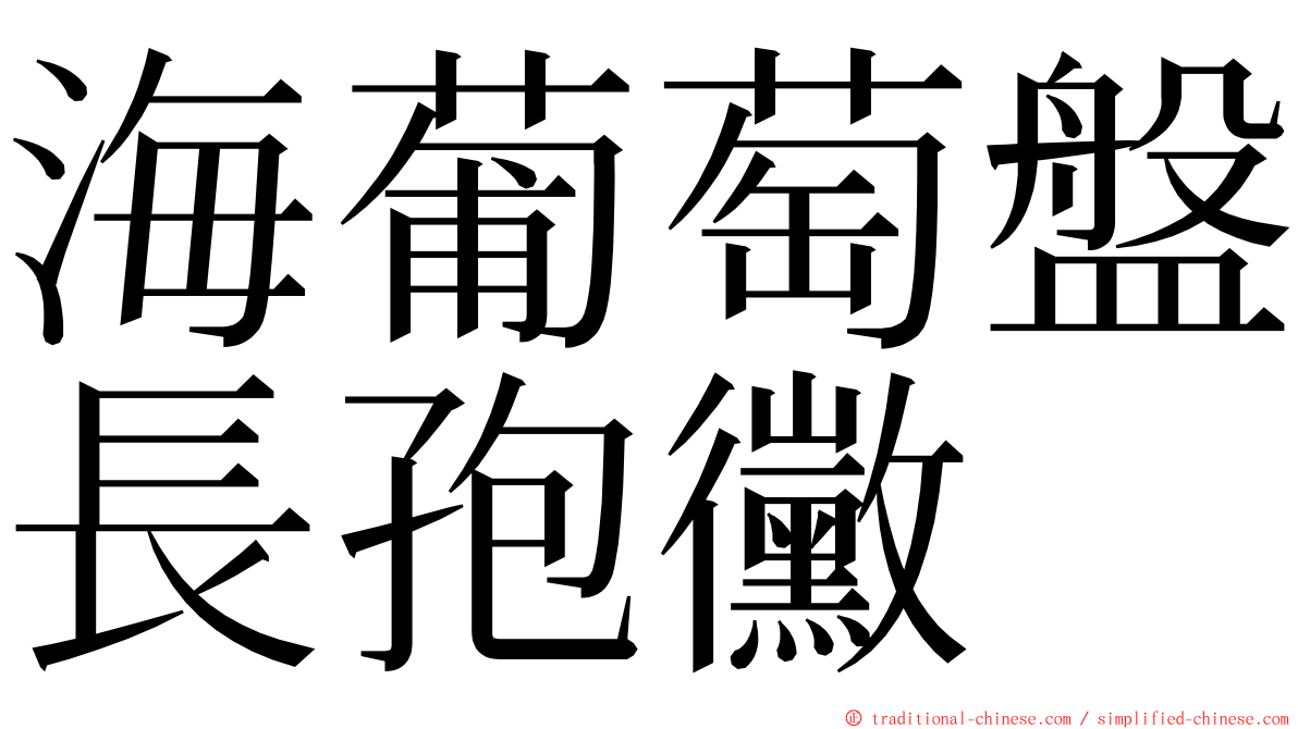 海葡萄盤長孢黴 ming font