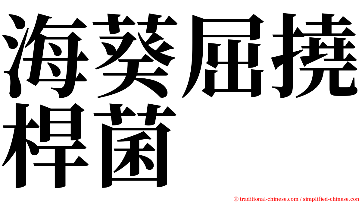 海葵屈撓桿菌 serif font