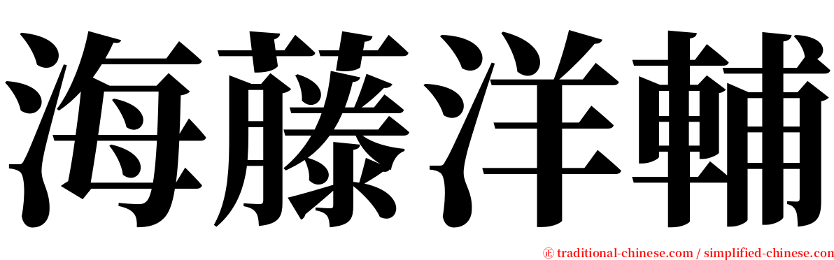 海藤洋輔 serif font