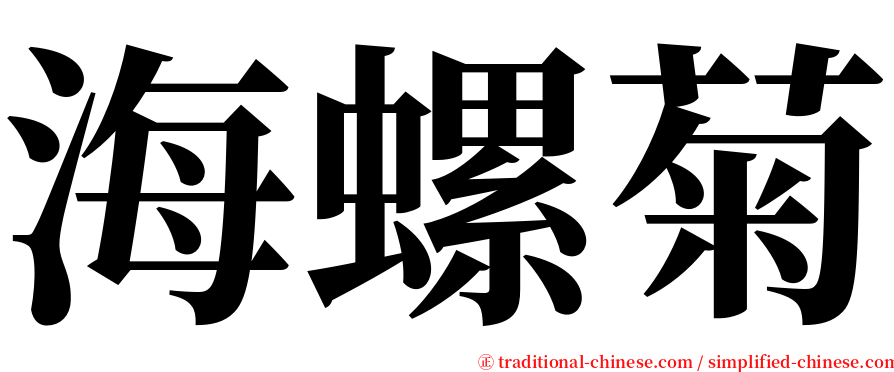 海螺菊 serif font