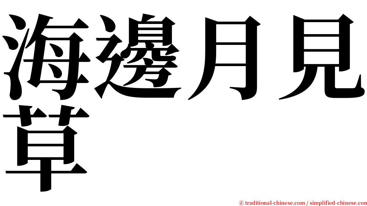 海邊月見草 serif font