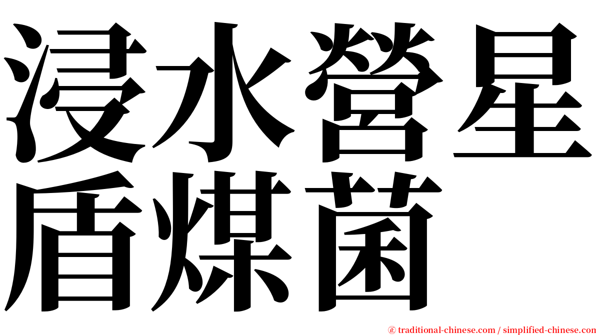 浸水營星盾煤菌 serif font