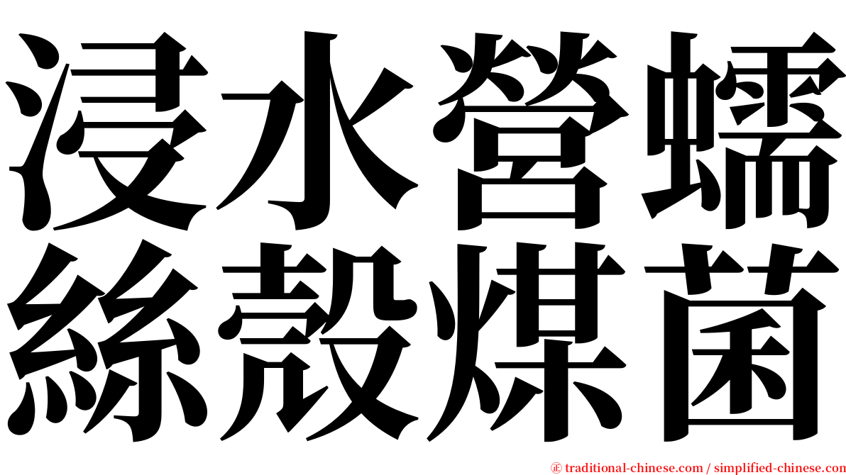 浸水營蠕絲殼煤菌 serif font