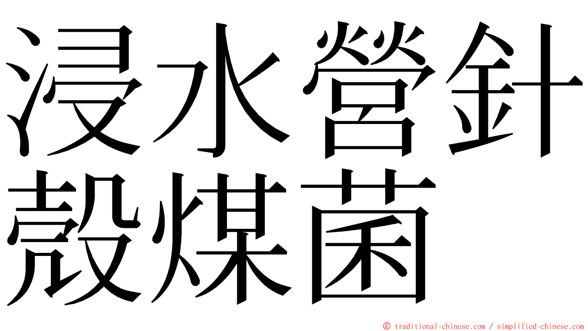 浸水營針殼煤菌 ming font