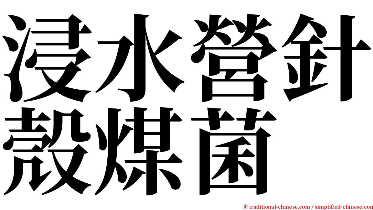 浸水營針殼煤菌 serif font