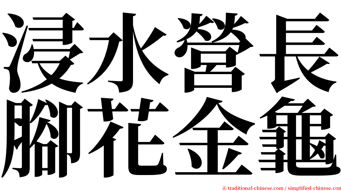 浸水營長腳花金龜 serif font