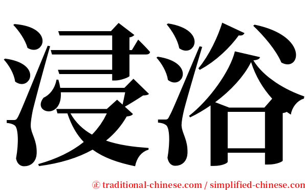 浸浴 serif font